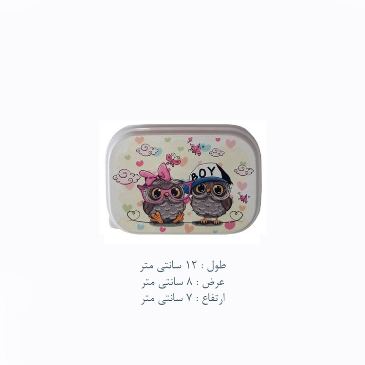 ظرف نگهدارنده غذای کودک مدل جغد کد PK-H336 بسته 4 عددی